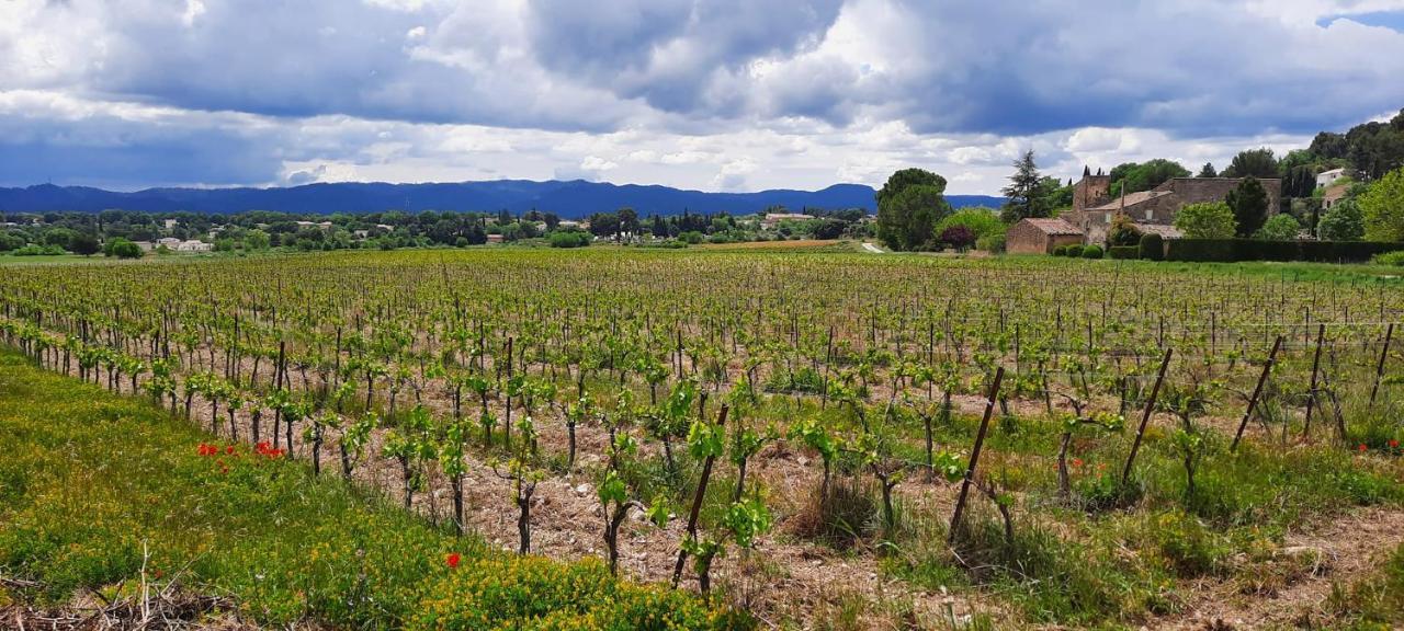 Domaine Des Francobelges - Appartements Lauris Bagian luar foto