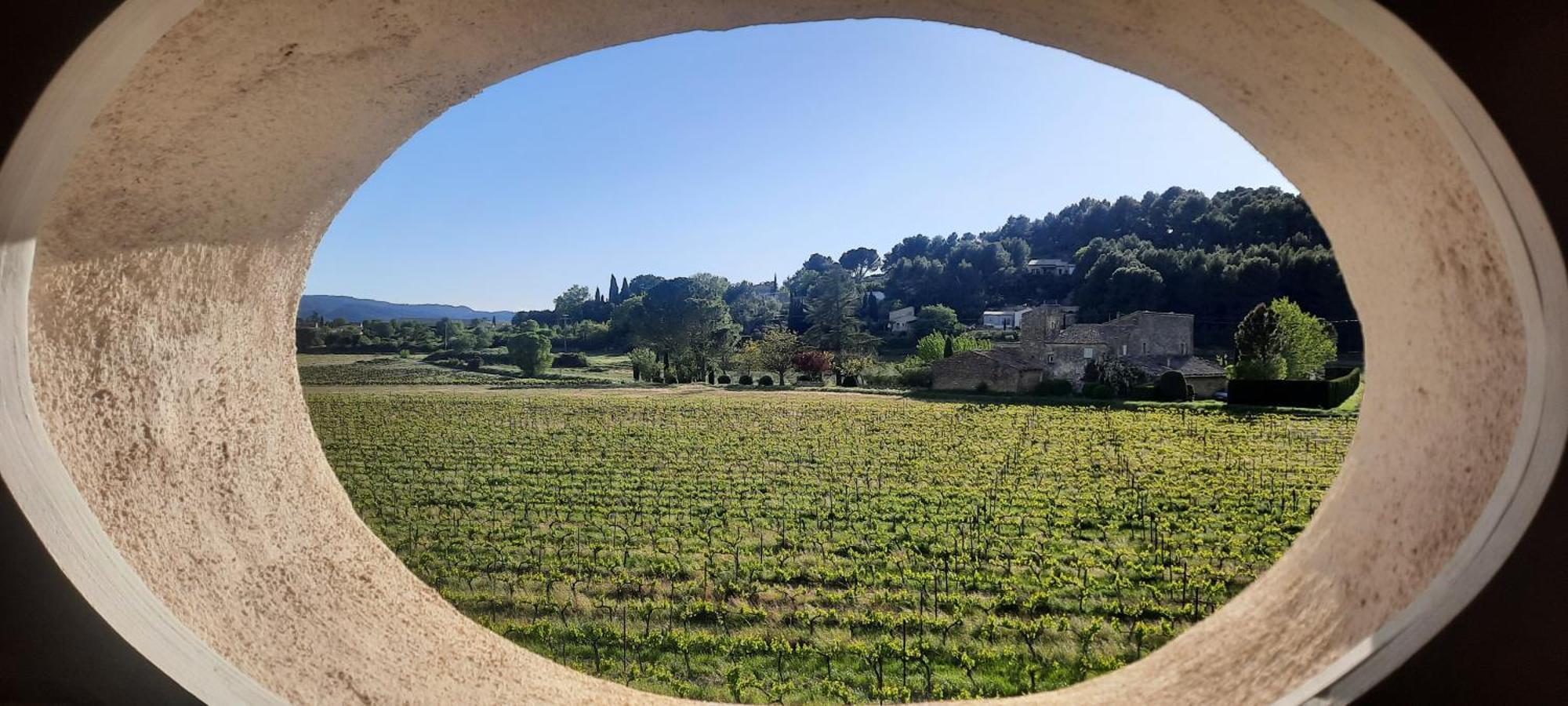 Domaine Des Francobelges - Appartements Lauris Ruang foto